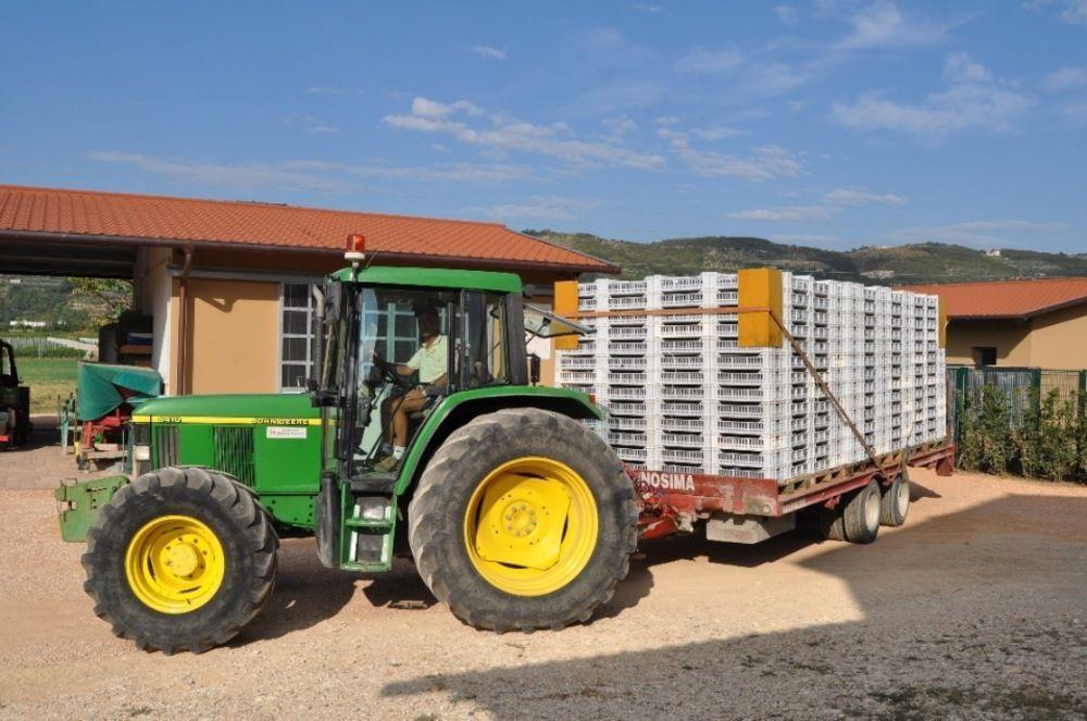 Corte Moranda Séjour à la ferme