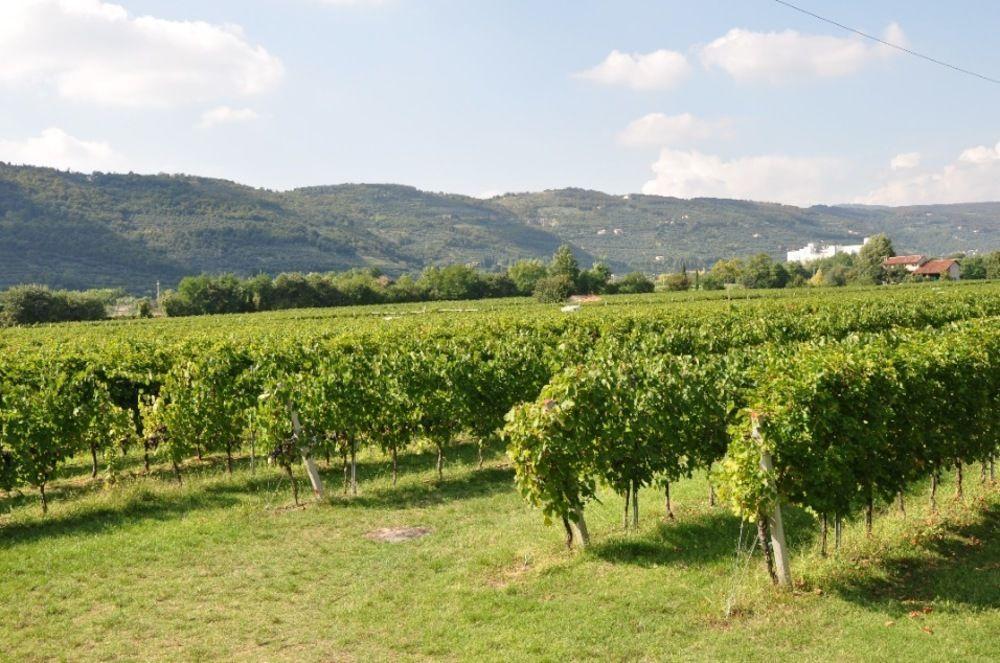 Corte Moranda Séjour à la ferme Vérone